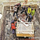Illustration for article titled An Ancient Musical Instrument Has Been Discovered In China